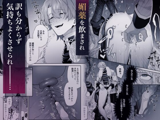 王女殿下は謎の豹変執着王子に孕ませられる [藍田まろやか] | DLsite がるまに