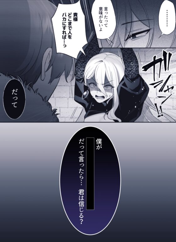 王女殿下は謎の豹変執着王子に孕ませられる [藍田まろやか] | DLsite がるまに