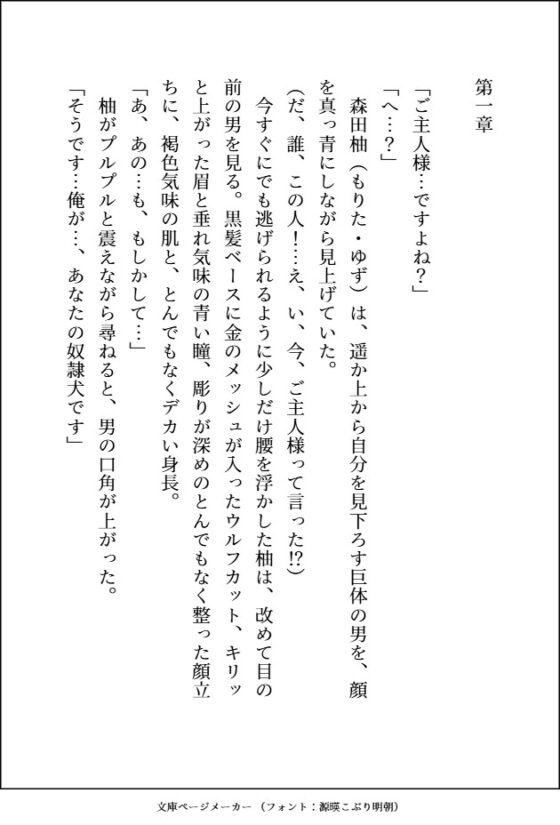 通話だけで調教してたM犬(実は凶悪顔デカ強男子)の子犬顔に絆されてえっちな躾してたら、本気獣ピストンに負けてご主人様兼恋人になる話 [愚直] | DLsite がるまに