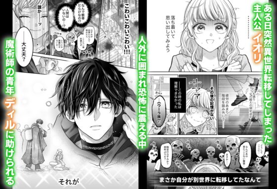 追放魔術師は異世界転移者の私の熱を離さない [れじゃんのレジャー] | DLsite がるまに