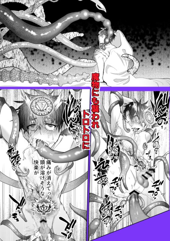 再召喚された僕は騎士様のもの [shy] | DLsite がるまに