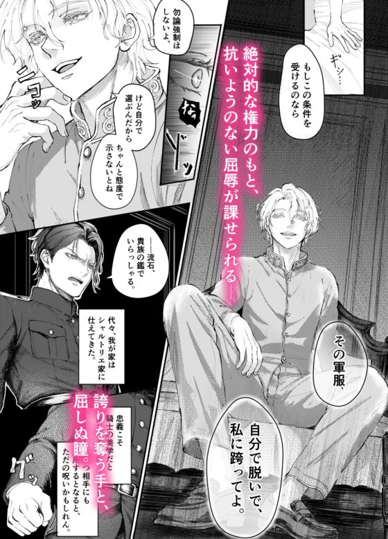 『貴方に従い、貴様に抗う。』〜絶対に堕ちない気高い剣聖が、交換条件で嫌いな主君に屈辱的に犯される漫画〜【初夜編】 [玉響どろう] | DLsite がるまに