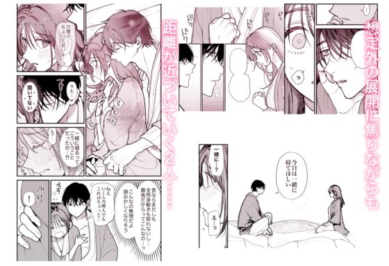 はじめての恋とはじめての夜に [れきほねを] | DLsite がるまに