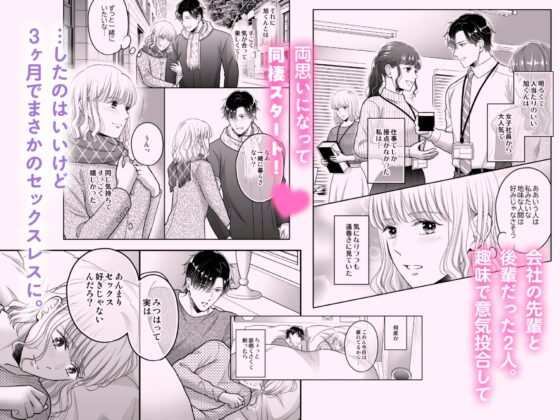性感帯を教えてあげる～入れ替わり媚薬でセックスレス解消します～ [鳥として生] | DLsite がるまに