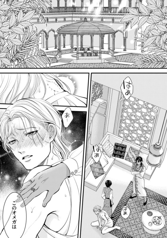 練習台オメガの幸福 [えびの腹] | DLsite がるまに