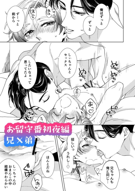 お兄ちゃんと両思い 毎日したい甘ラブ兄弟セックス 総集編 [WildGoat] | DLsite がるまに