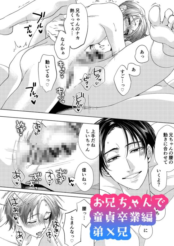 お兄ちゃんと両思い 毎日したい甘ラブ兄弟セックス 総集編 [WildGoat] | DLsite がるまに