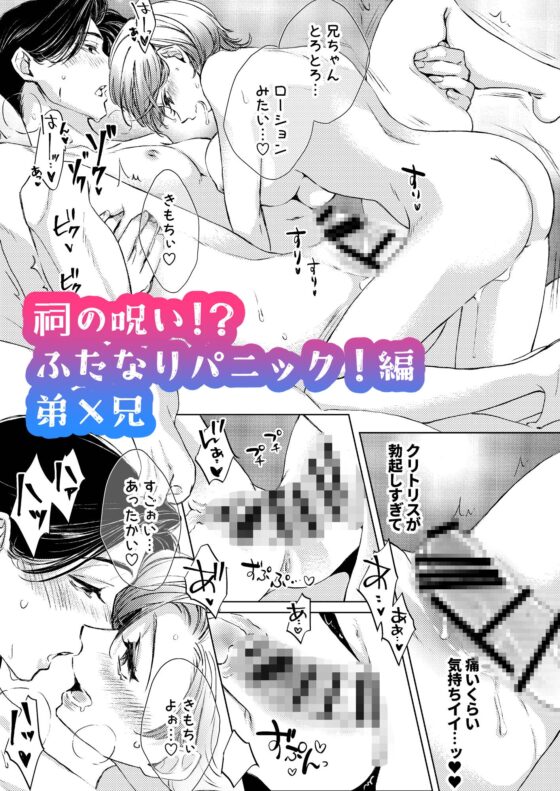 お兄ちゃんと両思い 毎日したい甘ラブ兄弟セックス 総集編 [WildGoat] | DLsite がるまに