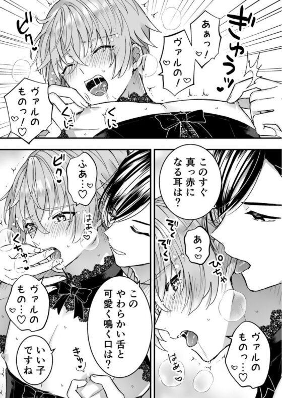 男騎士だったけど鬼の宰相の愛玩動物(ペット)になりました(3) [TINGA/故珍子] | DLsite がるまに