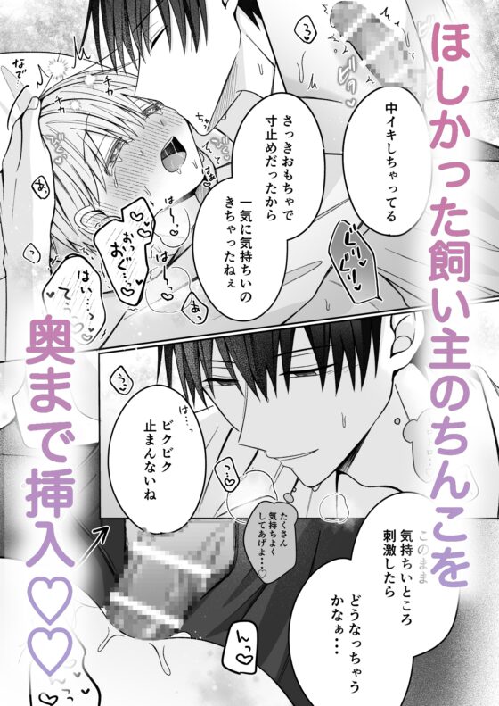 陸くんは発情期〜甘S飼い主とトロトロ発情エッチ♡〜 [星乃美琴] | DLsite がるまに