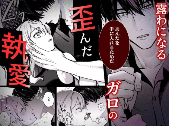 Deadly Drip～激重で病的で責めがうまい殺し屋の相棒が私を死ぬほど犯してくる～ [Vivid Aster] | DLsite がるまに