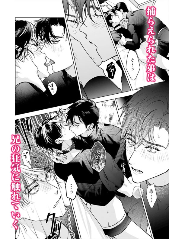 完全なる一族 楽園の箱<1> [おやすみ毛布] | DLsite がるまに