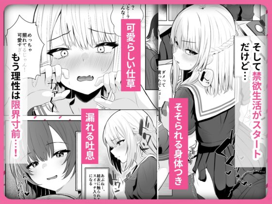 TSお兄ちゃん〜フタナリ妹とのエッチ禁止を誓ったのに我慢できずに襲いにくる話〜 [くろしばすこ] | DLsite 同人 - R18