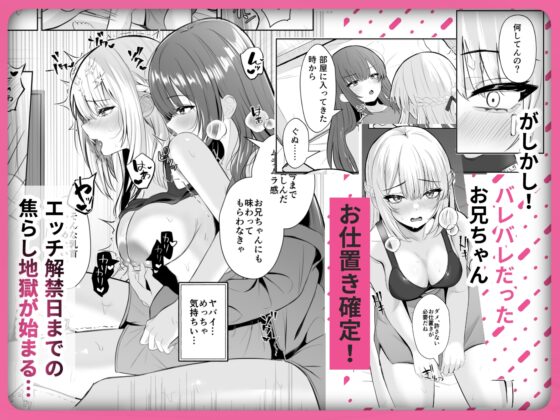 TSお兄ちゃん〜フタナリ妹とのエッチ禁止を誓ったのに我慢できずに襲いにくる話〜 [くろしばすこ] | DLsite 同人 - R18