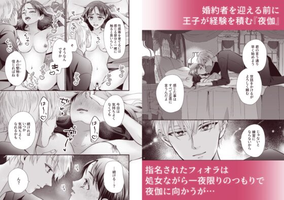 王子の夜伽は終わらない [湯けむりワンワン] | DLsite がるまに