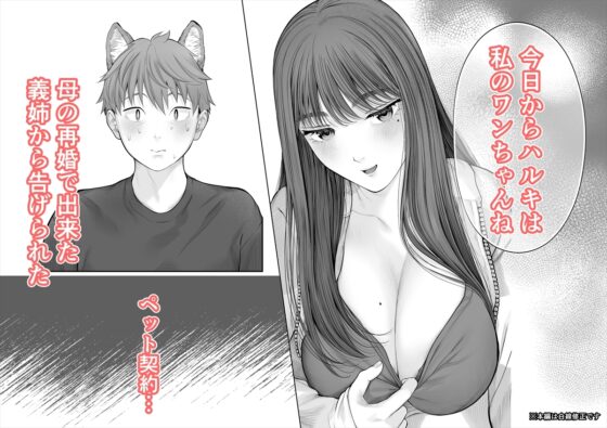 姉犬-義姉は家族でえっちなご主人様- [江☆浪漫工房] | DLsite がるまに