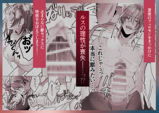 溺愛捕食～獣人専属風俗店でキャスト専用セラピストとして愛され尽くすまで～ [白い妖怪] | DLsite がるまに