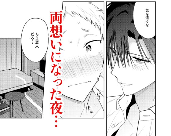 Tonight is the perfect time.～今夜は理想のふたり～ [サイデリ屋] | DLsite がるまに