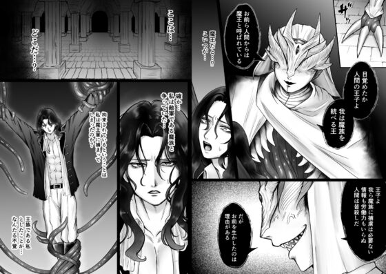 高貴な王子、カントボーイ性奴○と化す [発熱] | DLsite がるまに