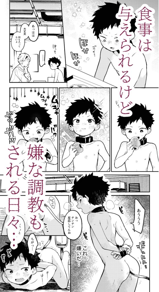 糧と鎖〜路上少年鬼畜監禁調教〜 [BBshop] | DLsite がるまに