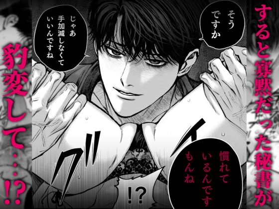 寡黙秘書君に毎晩抱かれています [叶恵] | DLsite がるまに