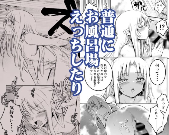 冒険者ちゃんとえっちな冒険5 [しぐれえび] | DLsite 同人 - R18