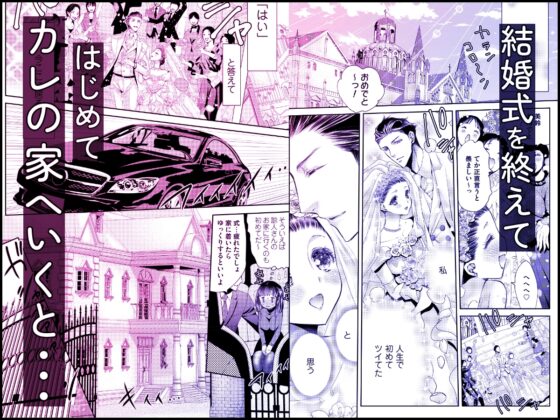 加美坂家の花嫁修業 [HELL MODE] | DLsite がるまに