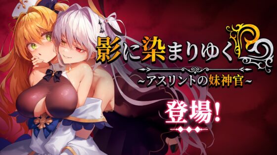 影に染まりゆく~アスリントの妹神官~ [BBQ大好き] | DLsite 同人 - R18