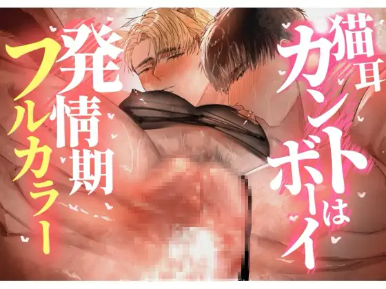 【フルカラー】猫耳カントボーイは発情期 [どろぬま町内会] | DLsite がるまに
