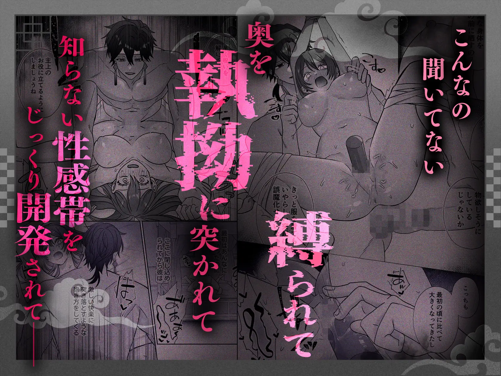 皇宮呪術師の隷属閨事～愛してくれるまで舐めてハメて抱き潰す～ [ラブぷらねっと] | DLsite がるまに