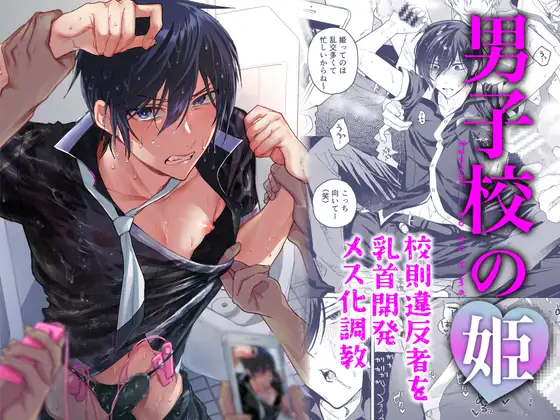 男子校の姫 校則違反者を乳首開発メス化調教 [BB] | DLsite がるまに