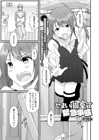 せまい個室で緊急事態 [一水社] | DLsite 成年コミック - R18