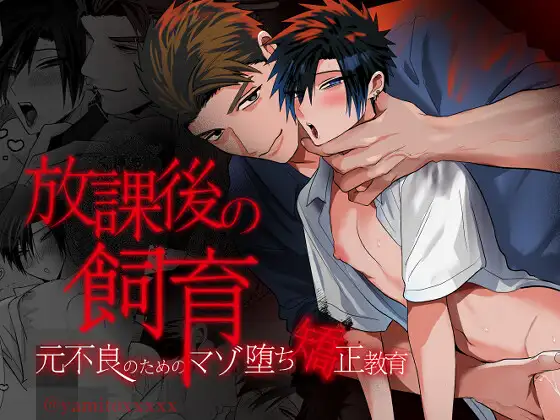 放課後の飼育～元不良のためのマゾ堕ち矯正教育～ [闇堕ちした村人] | DLsite がるまに