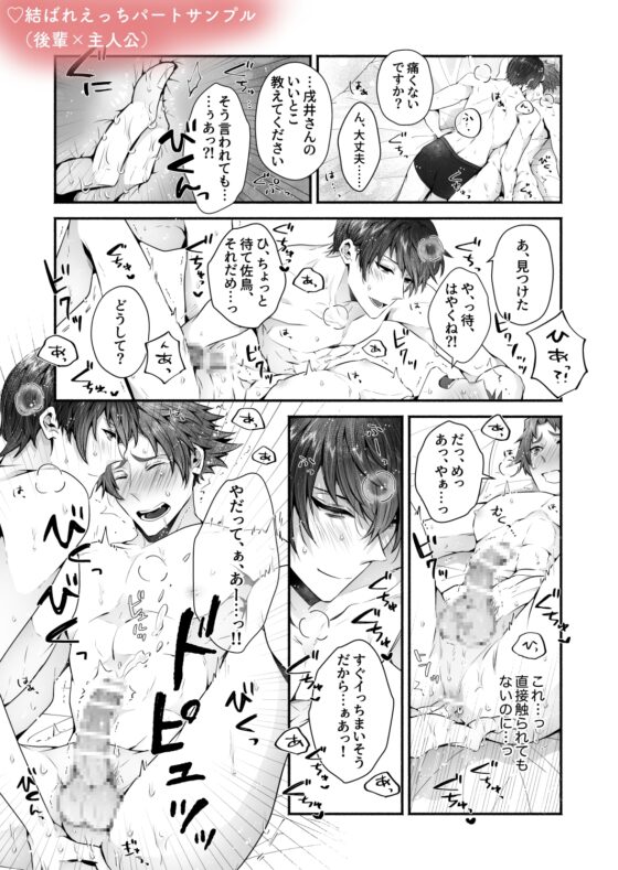 電子の犬は憧れ慕われ鳴かされて NTR→3P→結ばれえっち [かもかもね] | DLsite がるまに