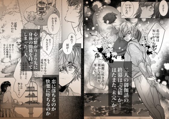 その恋は御伽話の中で。〜野獣少年と転生美女(?)の晩餐会〜 [猫八舎] | DLsite がるまに