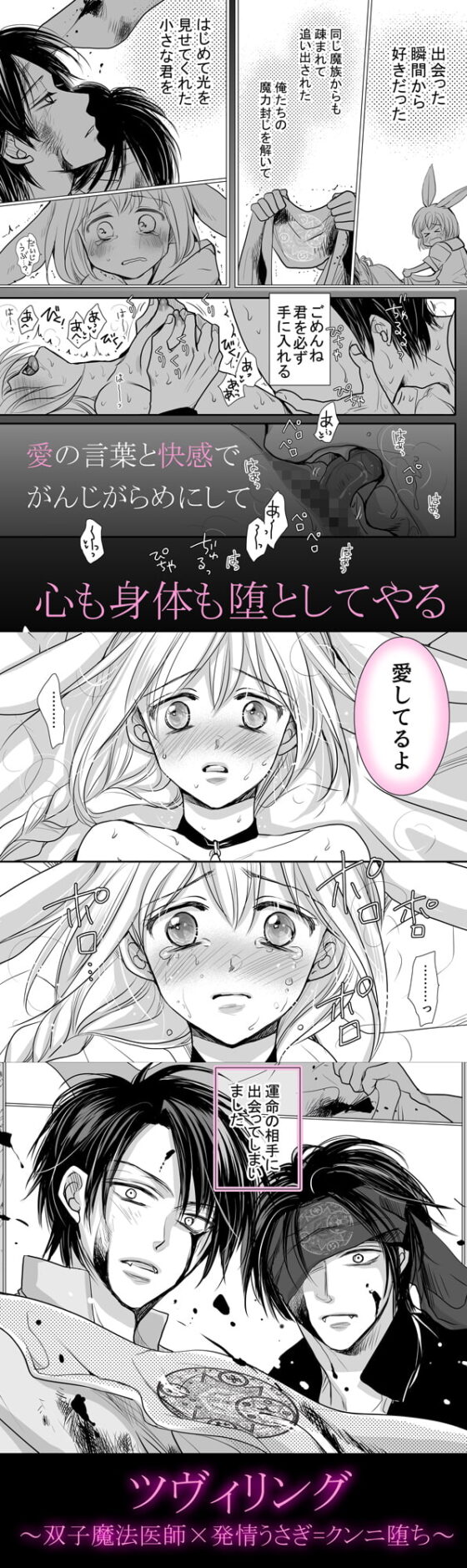 ツヴィリング～双子魔法医師×発情うさぎ=クンニ堕ち～ [藤井あや個人サークル] | DLsite がるまに