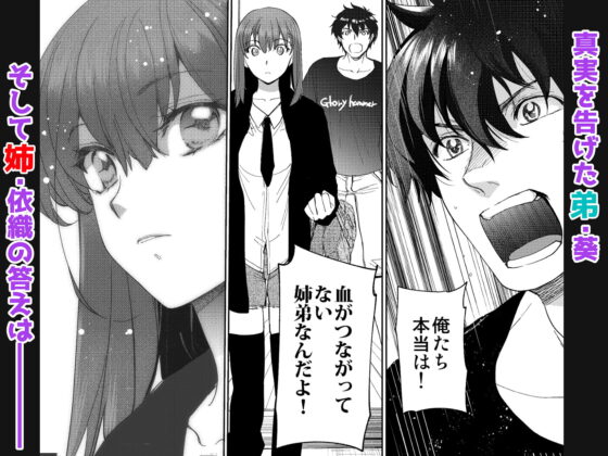 陰キャ弟が陽キャ姉キを寝取るまで 3 [床子屋] | DLsite がるまに