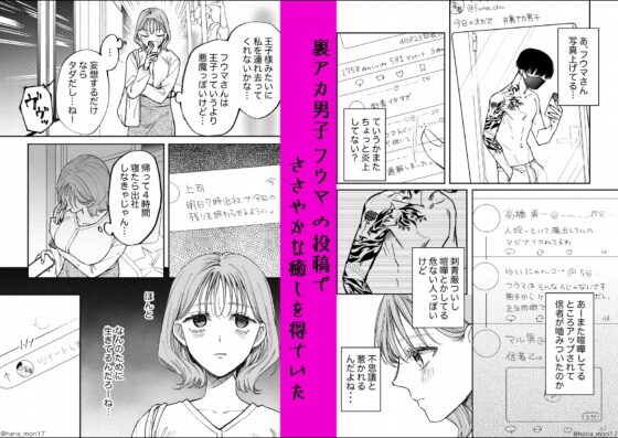 治安悪そうな裏アカ男子に気に入られてしまいました [森の停留所] | DLsite がるまに