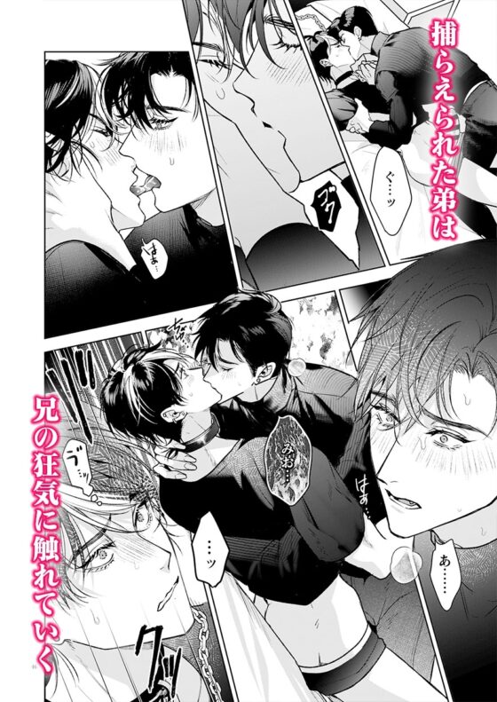 完全なる一族 楽園の箱<1> [おやすみ毛布] | DLsite がるまに