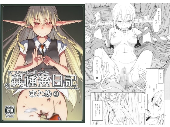 ドスケベエルフの異種姦日記 まとめ1 [めたもる] | DLsite 同人 - R18