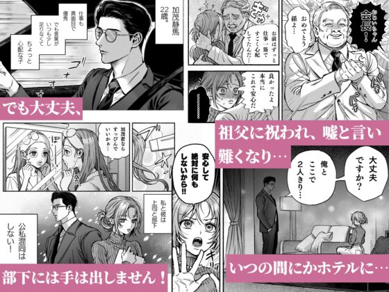 寡黙秘書君に毎晩抱かれています [叶恵] | DLsite がるまに