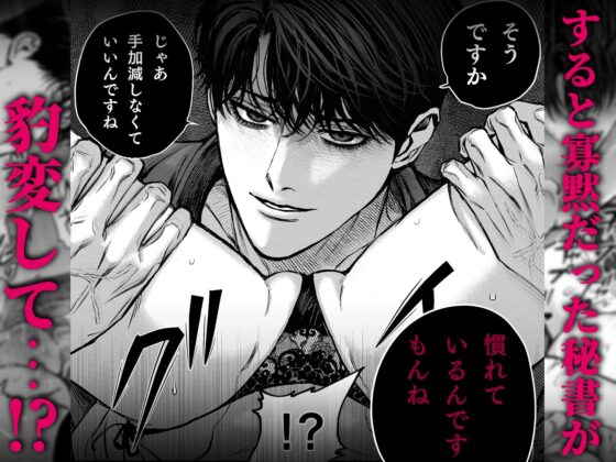 寡黙秘書君に毎晩抱かれています [叶恵] | DLsite がるまに