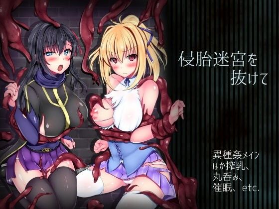 侵胎迷宮を抜けて(ハソユア) - FANZA同人