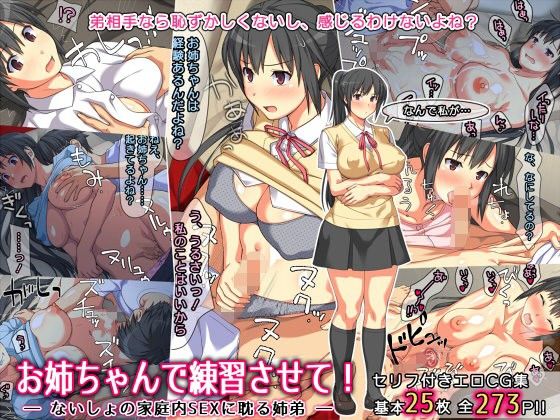 お姉ちゃんで練習させて！ ― ないしょの家庭内SEXに耽る姉弟 ―(ぱすとG （Past Gadget）) - FANZA同人