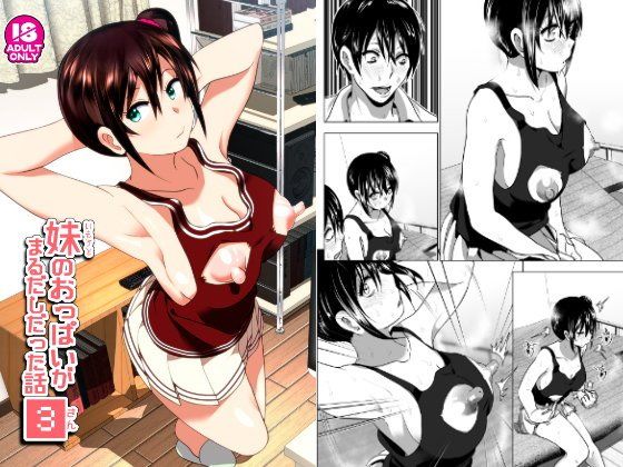 妹のおっぱいがまるだしだった話3(すぺ) - FANZA同人