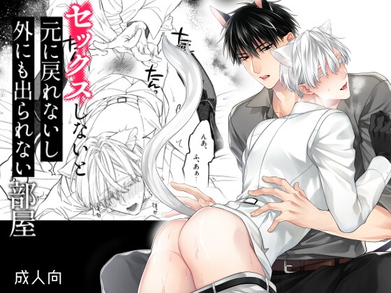 セックスしないと元に戻れないし外にも出られない部屋 [6109] | DLsite がるまに