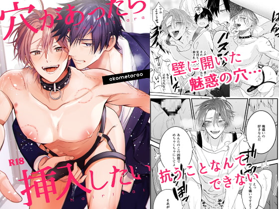 穴があったら挿入したい [米式'] | DLsite がるまに