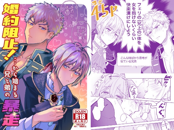 婚約阻止!…から始まる兄と弟の暴走 [三の月階段] | DLsite がるまに