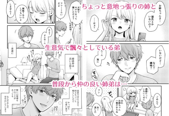 溺愛弟に迫られて～見せ合いから触れ合いへ～ [獄楽生活] | DLsite がるまに