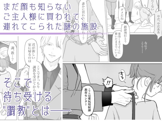 愛玩用奴隷教育センターFile 01 [見習いさん] | DLsite がるまに